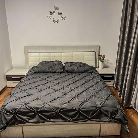 Pensiunea Brezu Sighetu Marmaţiei Buitenkant foto