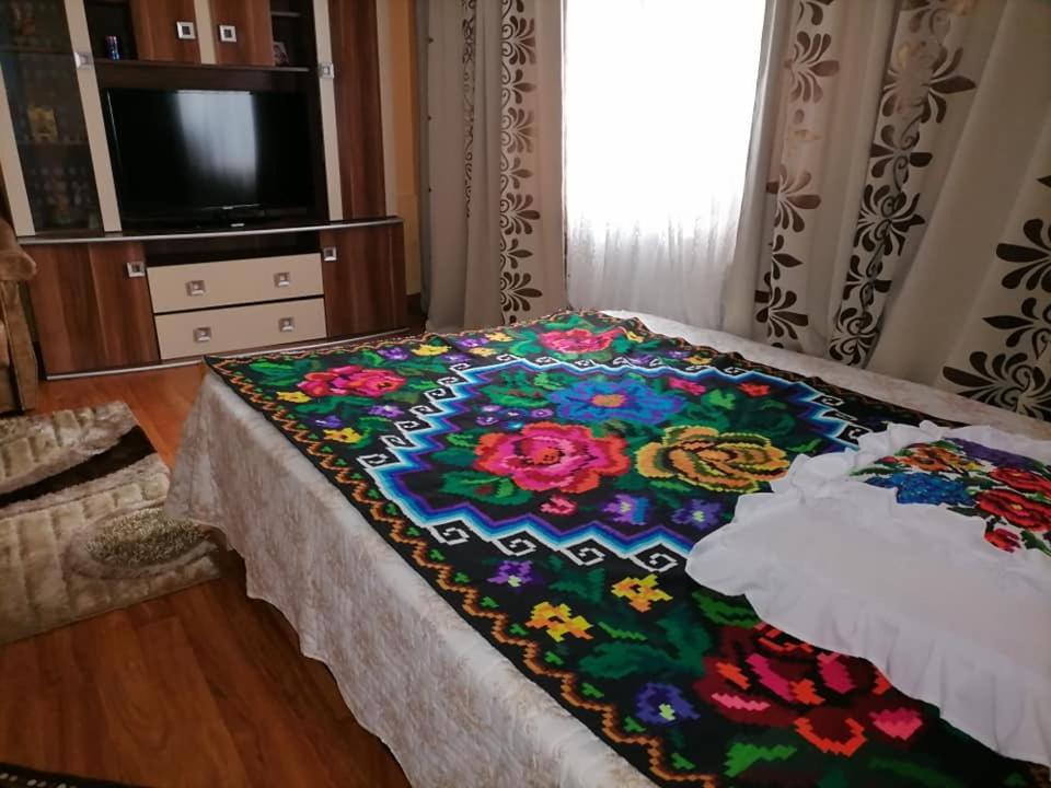 Pensiunea Brezu Sighetu Marmaţiei Buitenkant foto