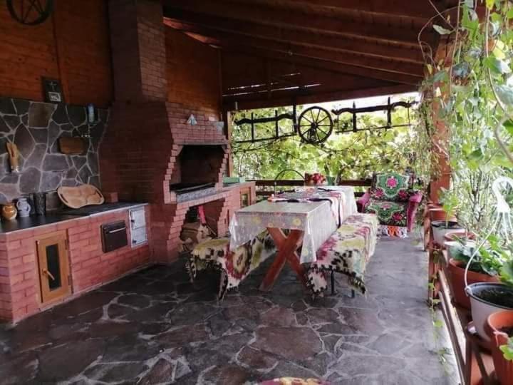 Pensiunea Brezu Sighetu Marmaţiei Buitenkant foto