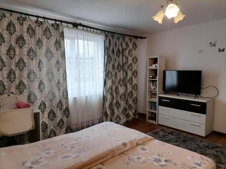 Pensiunea Brezu Sighetu Marmaţiei Buitenkant foto