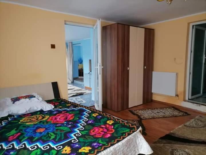 Pensiunea Brezu Sighetu Marmaţiei Buitenkant foto