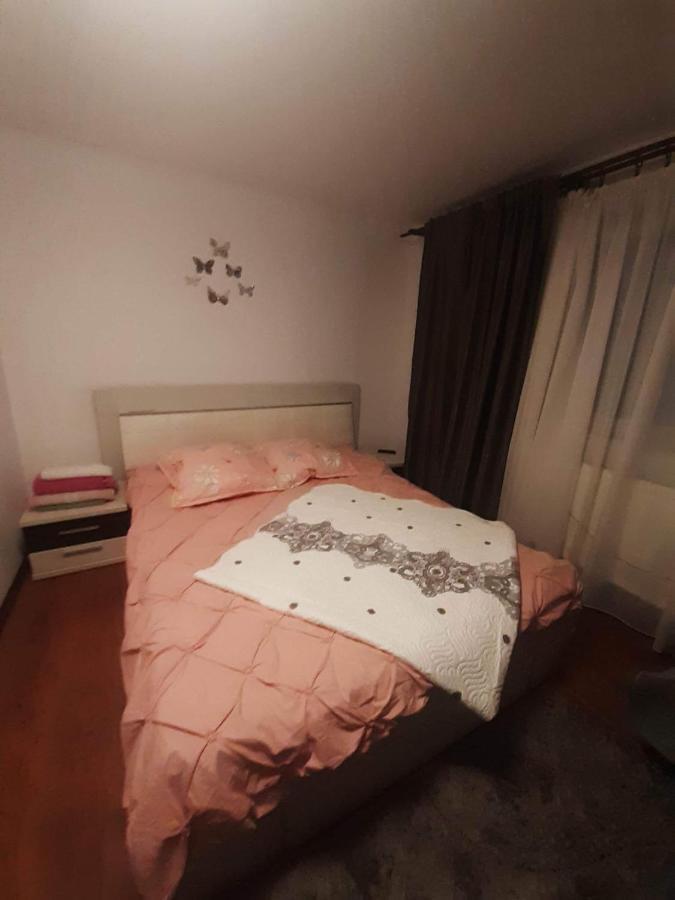Pensiunea Brezu Sighetu Marmaţiei Buitenkant foto