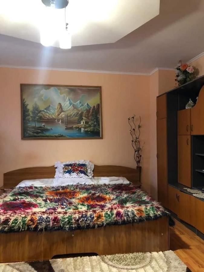 Pensiunea Brezu Sighetu Marmaţiei Buitenkant foto