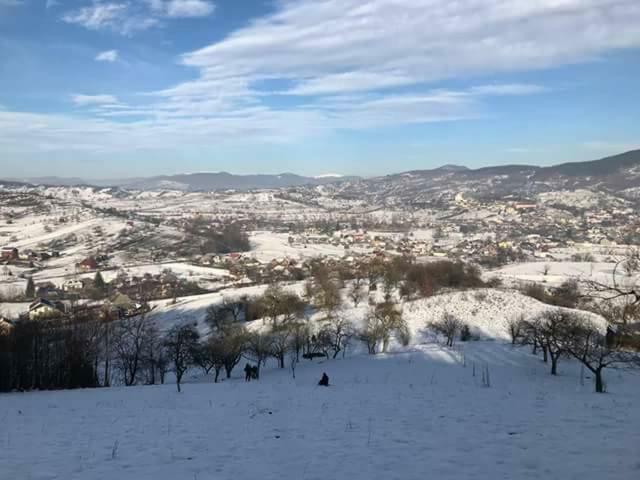 Pensiunea Brezu Sighetu Marmaţiei Buitenkant foto