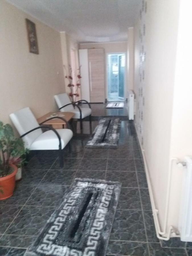 Pensiunea Brezu Sighetu Marmaţiei Buitenkant foto