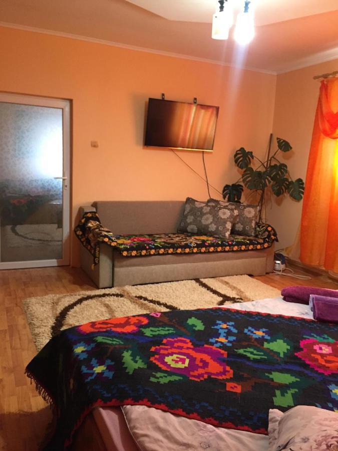 Pensiunea Brezu Sighetu Marmaţiei Buitenkant foto